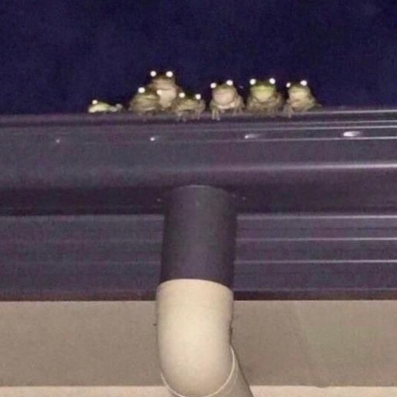 Meet your Posher, Nitima - Picture 1 of 1